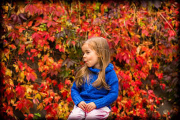 little girl on a beautiful background of autumn wild grapes