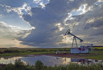 Fototapeta premium oil