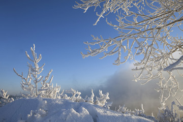 sunny winter day on the river Kama