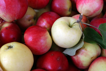 juicy, ripe apples in a wattled basket