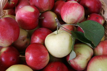 juicy, ripe apples in a wattled basket