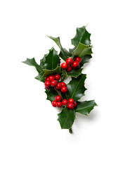 Christmas Holly
