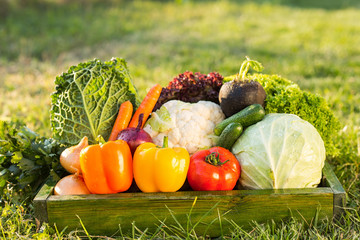 fresh organic vegetables