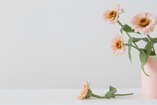 Bouquet Of Zinnia Flowers On White Background