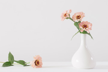 Bouquet of zinnia flowers on white background