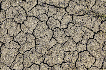 dry cracked earth