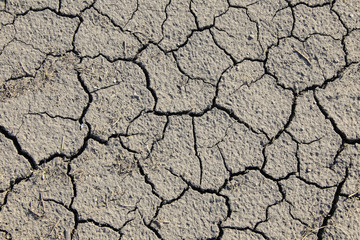 dry cracked earth