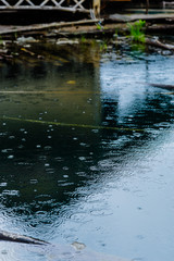 rain drop on surface