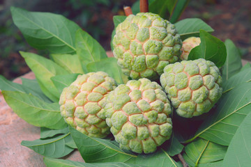 Fresh sugar apple (custard apple, annona, sweetsop) on wooden table.