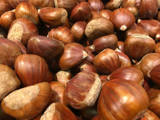 Group of chestnuts illuminated by a light side. Dark background. Autumn background.