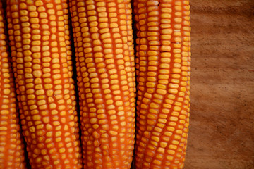 Ripe corn