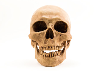 Front side view of human skull isolate on white background.