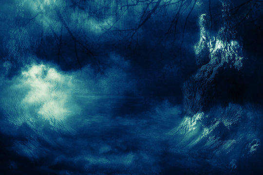 Spooky Tree in Night Mist