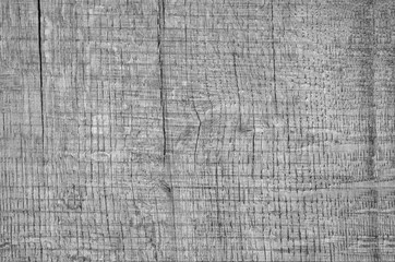 Wood texture. Lining boards wall. Wooden background pattern. Showing growth rings