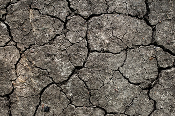 Drought land background. Closeup of dry cracked earth