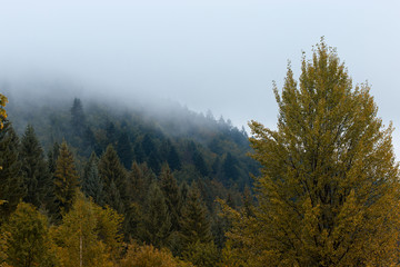 Beautiful mountain landscape in autumn overcast weather