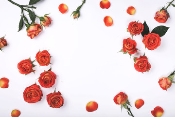 Frame of red roses on a white background