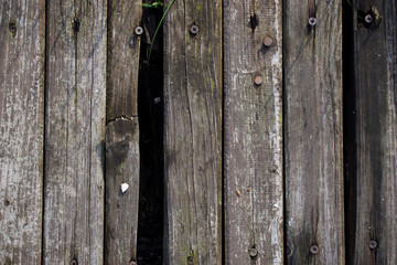 Background of wood and herbs,wood texture, nail into wood, woode