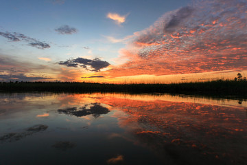 Fototapeta na wymiar Cumulus sunset clouds with sun setting down,sky after sunset