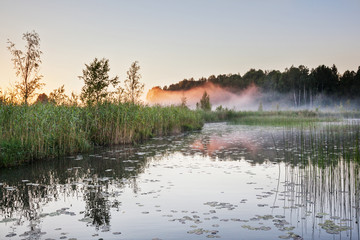 Fototapeta na wymiar Mist on a lake at dawn
