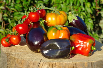 Harvest vegetables on a stump