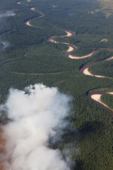 Aerial view of wildfire in forest