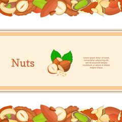 Round colored frame composed of different nuts brazil, cashew, peanut, pecan, pine, pistachio. Vector card illustration. Circle nuts frame with place for your text for packaging design element