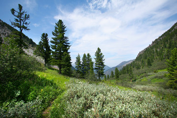 mountain landscape