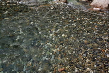 fast stream of the mountain river