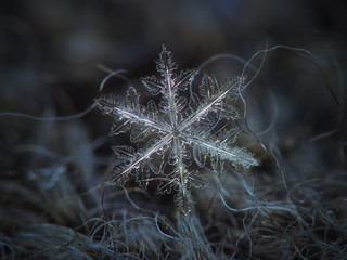Snowflake on dark textured background: macro photo of real snow crystal on black woolen fabric in...