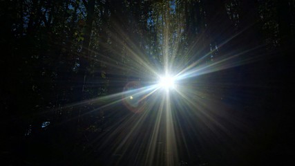 sole