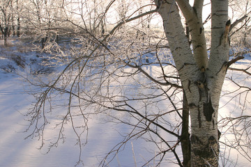 Winter on the river