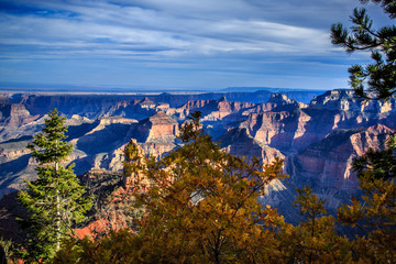 Point Imperial on the North Rim of the Grand Canyon During Fall. Arizona