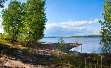 summer landscape