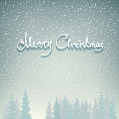 Snowfall in the Forest , Snow Falls on the Spruces and Text Merry Christmas, Fir Trees in Winter in Snowfall, Winter Background, Christmas Winter Landscape in Gray Shades, Vector Illustration