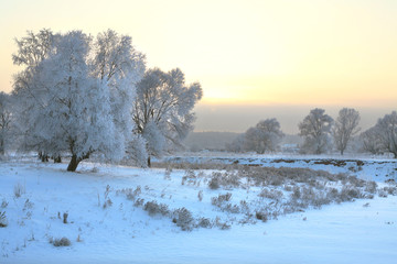 Sunset over the forest in frost