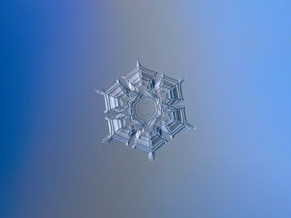 Snowflake on smooth blue-to-gray gradient background: macro photo of real snow crystal on glass surface with LED back light. This is medium size snowflake with amazing relief and symmetry.
