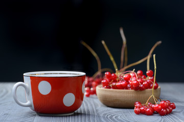 Viburnum and tea cup