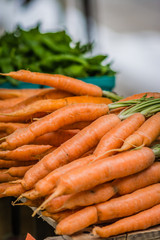 carrots from farmers market / carrots