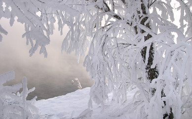 Fototapeta na wymiar frosty misty morning on the winter river