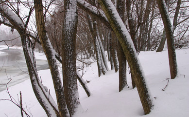 Winter on the river