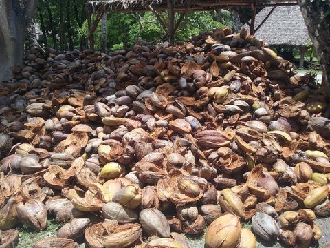 Noix de coco