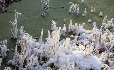Waterlogged village winter