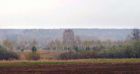 Obraz na płótnie Canvas a plowed field near the forest