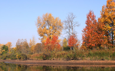 Fototapeta premium autumn landscape