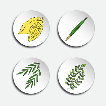 Four Species For Jewish Holiday Sukkot: Palm Branch, Willow And Myrtle Leaves, Yellow Etrog. Icons Set. Vector Illustration.