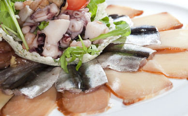 assorted fish
