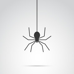 Spider icon isolated on white background. Vector art.
