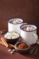 hot chocolate with mini marshmallows cinnamon winter drink