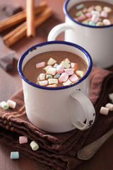 hot chocolate with mini marshmallows cinnamon winter drink